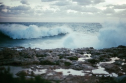 Vagues déferlant sur la côte