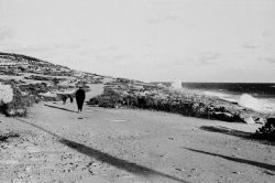 Homme promenant ses chiens