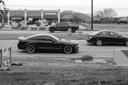 Mustang sur la route