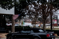 Mustang sous un drapeau