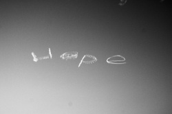 Hope