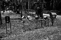 Boîtes-aux-lettres dans la forêt