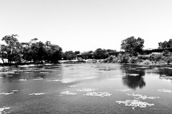 Etang à Sydney