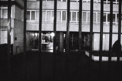 Grilles du 10 rue Louis Vicat
