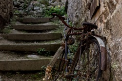 Velo abandonné - Vendanges Graphiques 2014