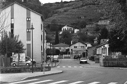 Condrieu - Vendanges Graphiques 2014