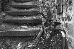 Vélo abandonné - Vendanges Graphiques 2014